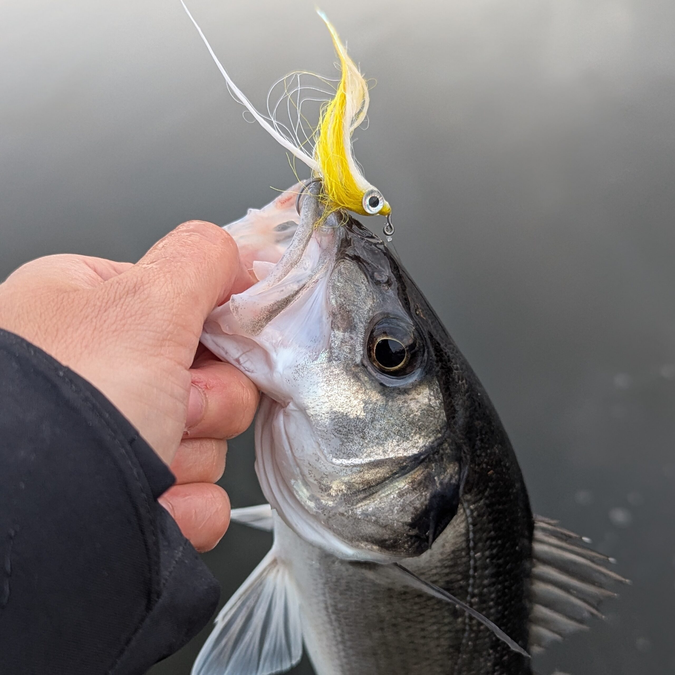 Jiggy Baitfish – Image 9