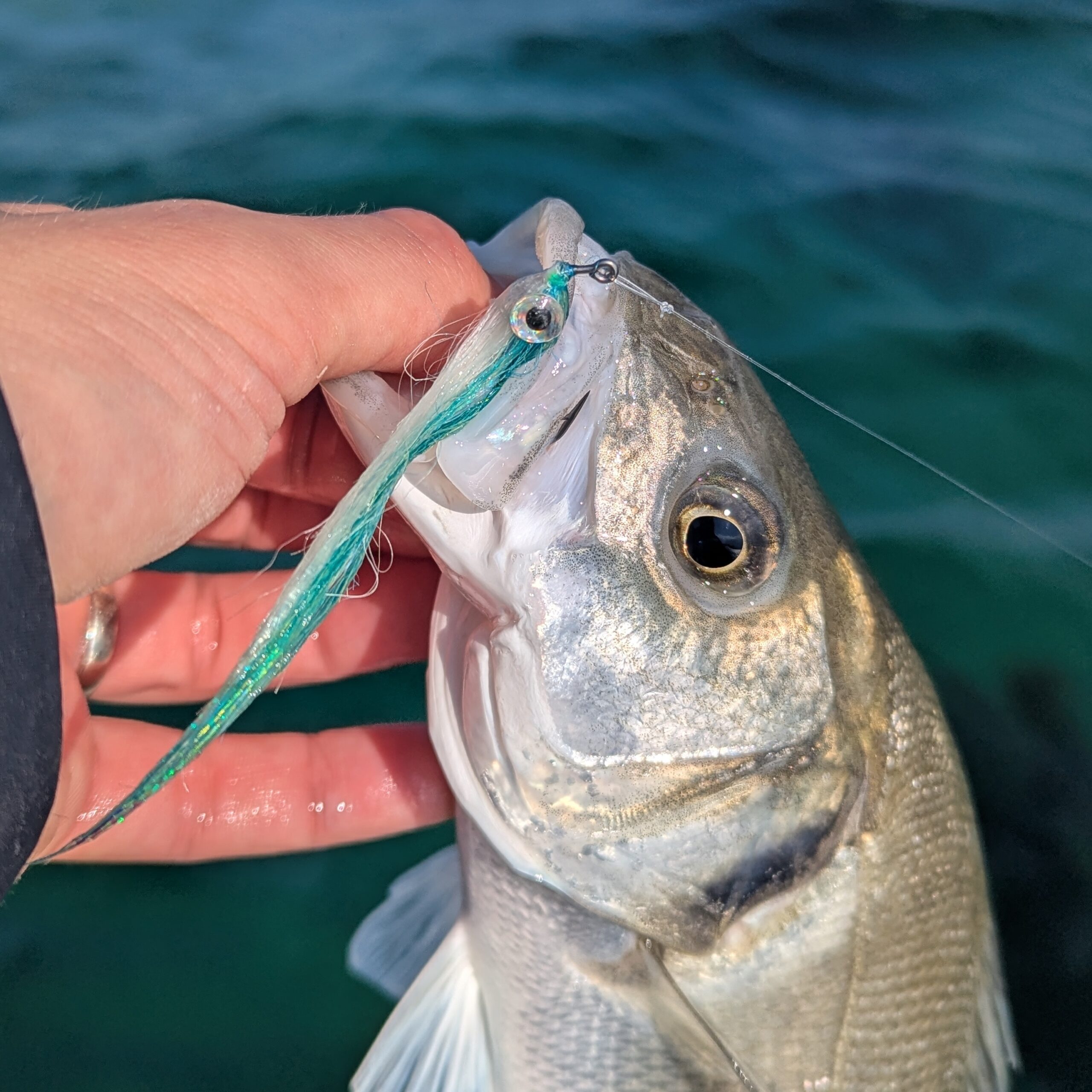 Jiggy Baitfish – Image 11