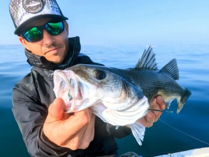 Jiggy Baitfish – Image 8