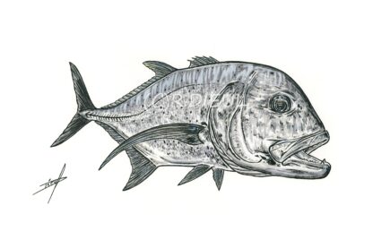 GT – Image 2