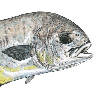 Permit