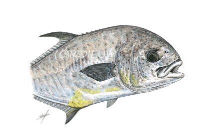 Permit – Image 2