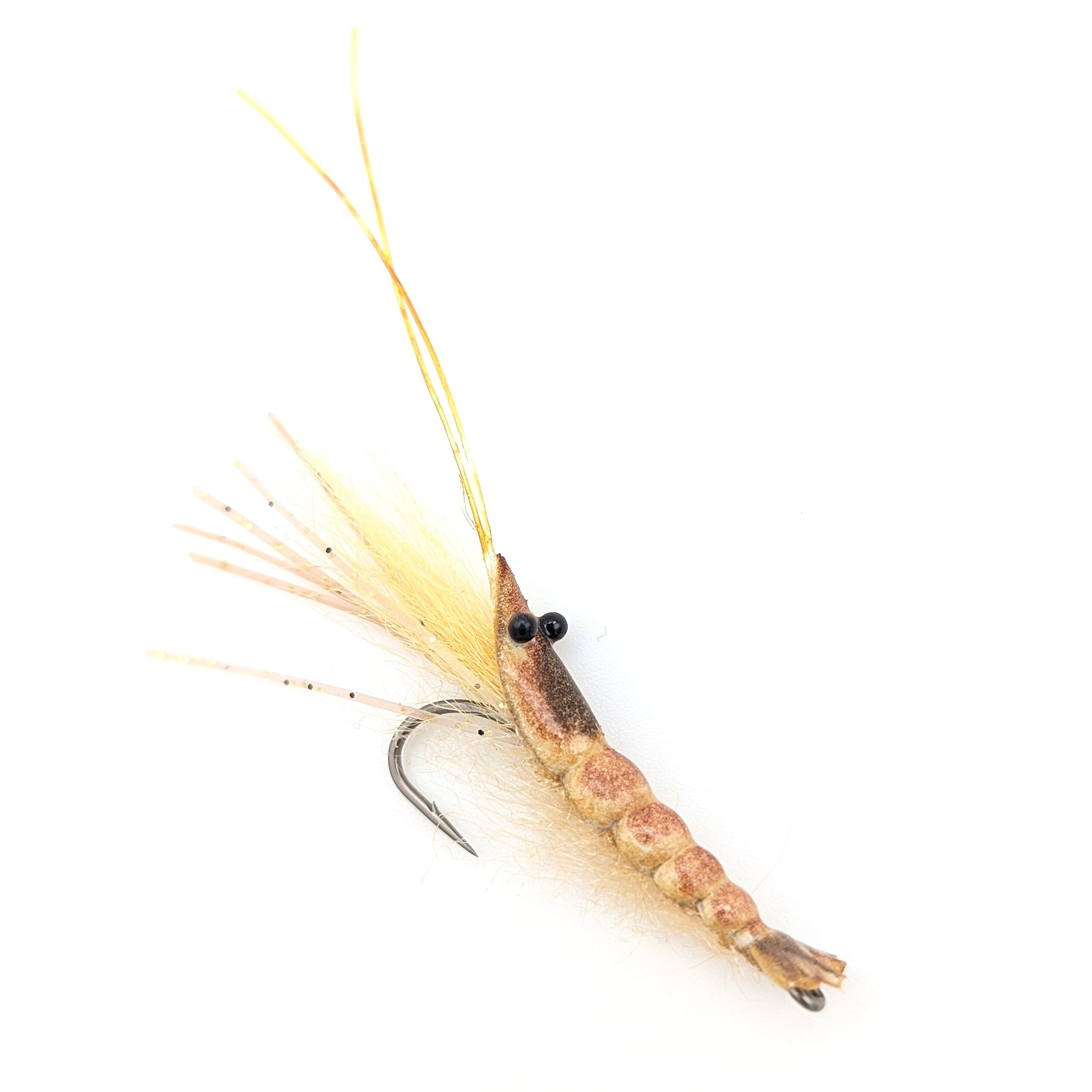 RD Shrimp – Image 2