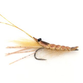 RD Shrimp