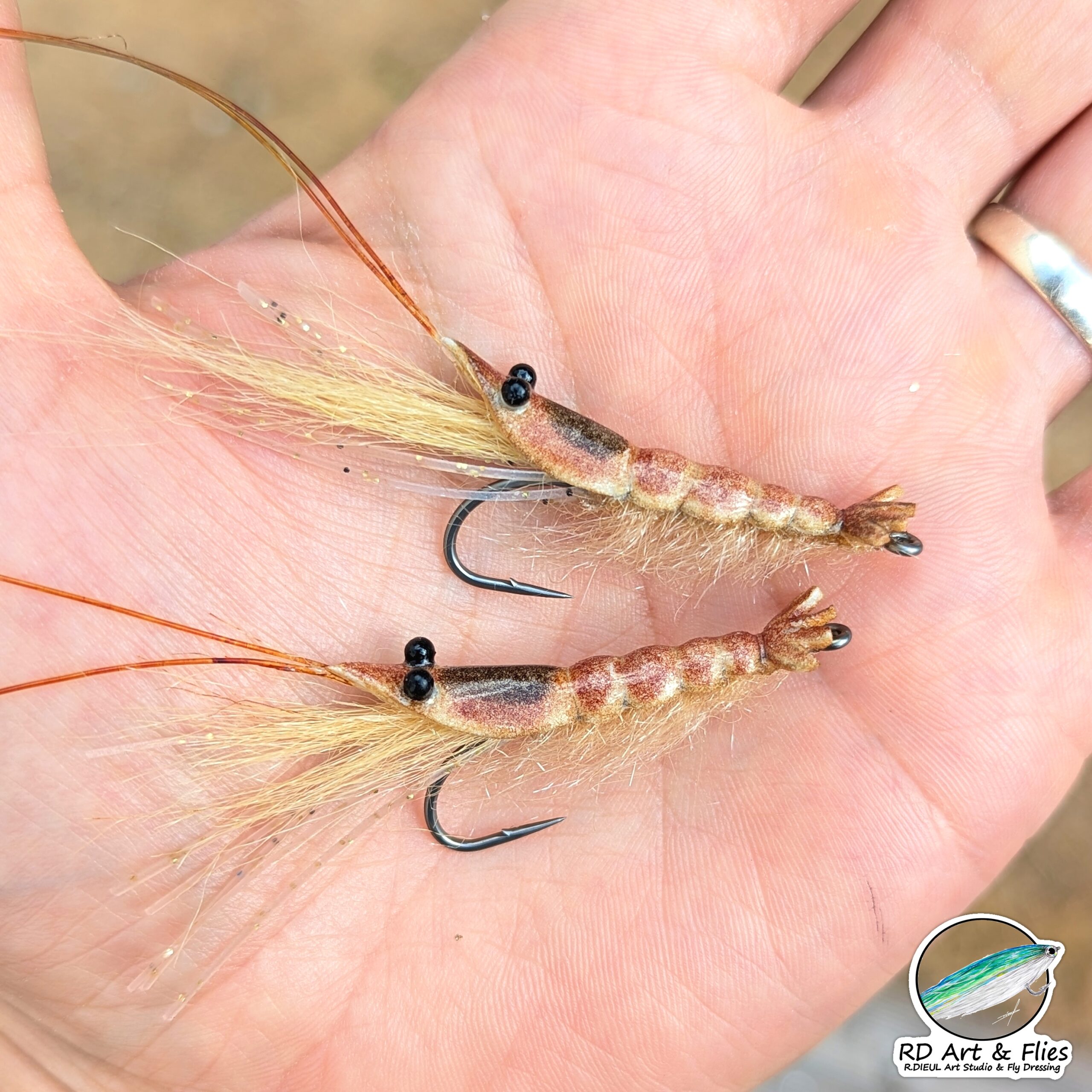 RD Shrimp – Image 4