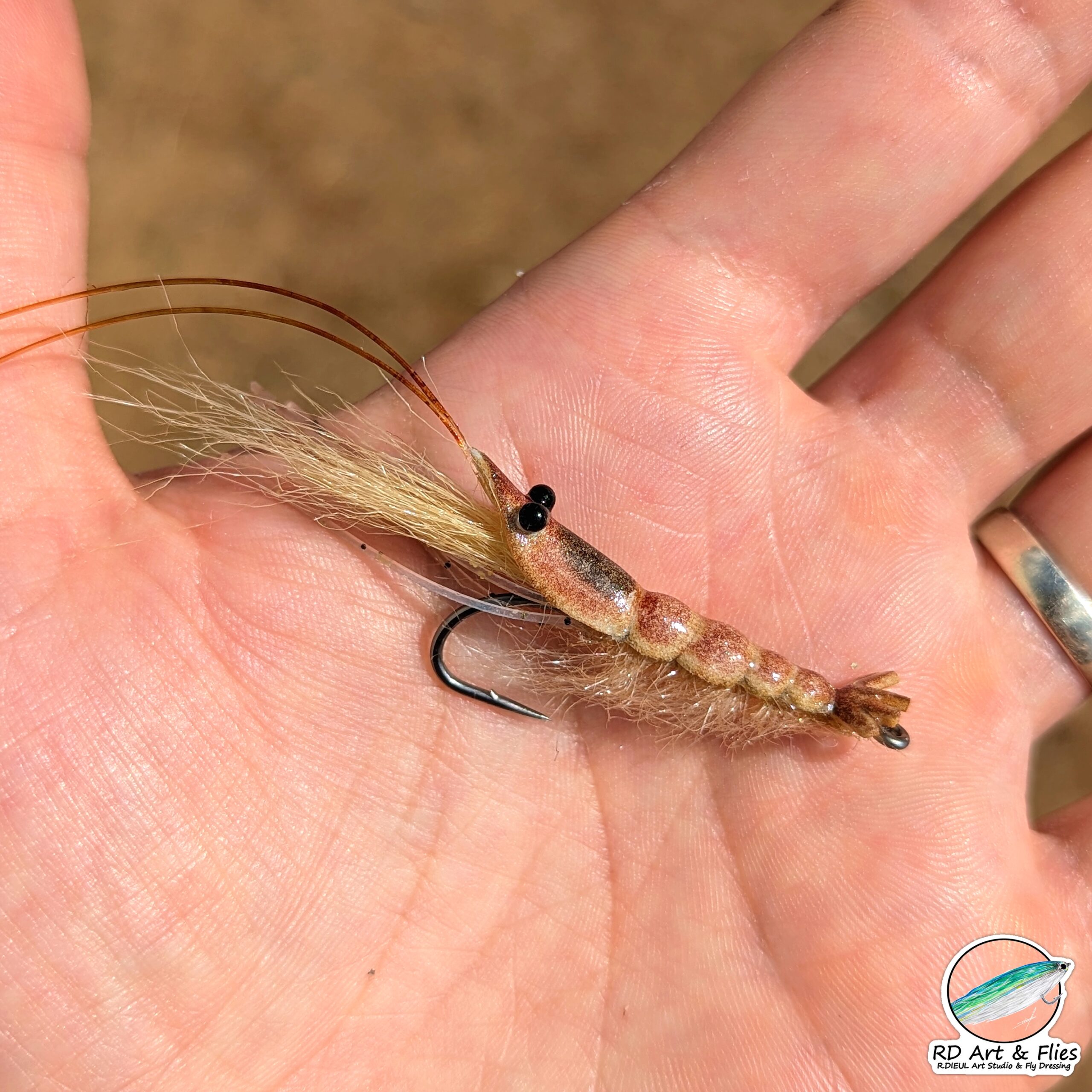RD Shrimp – Image 3