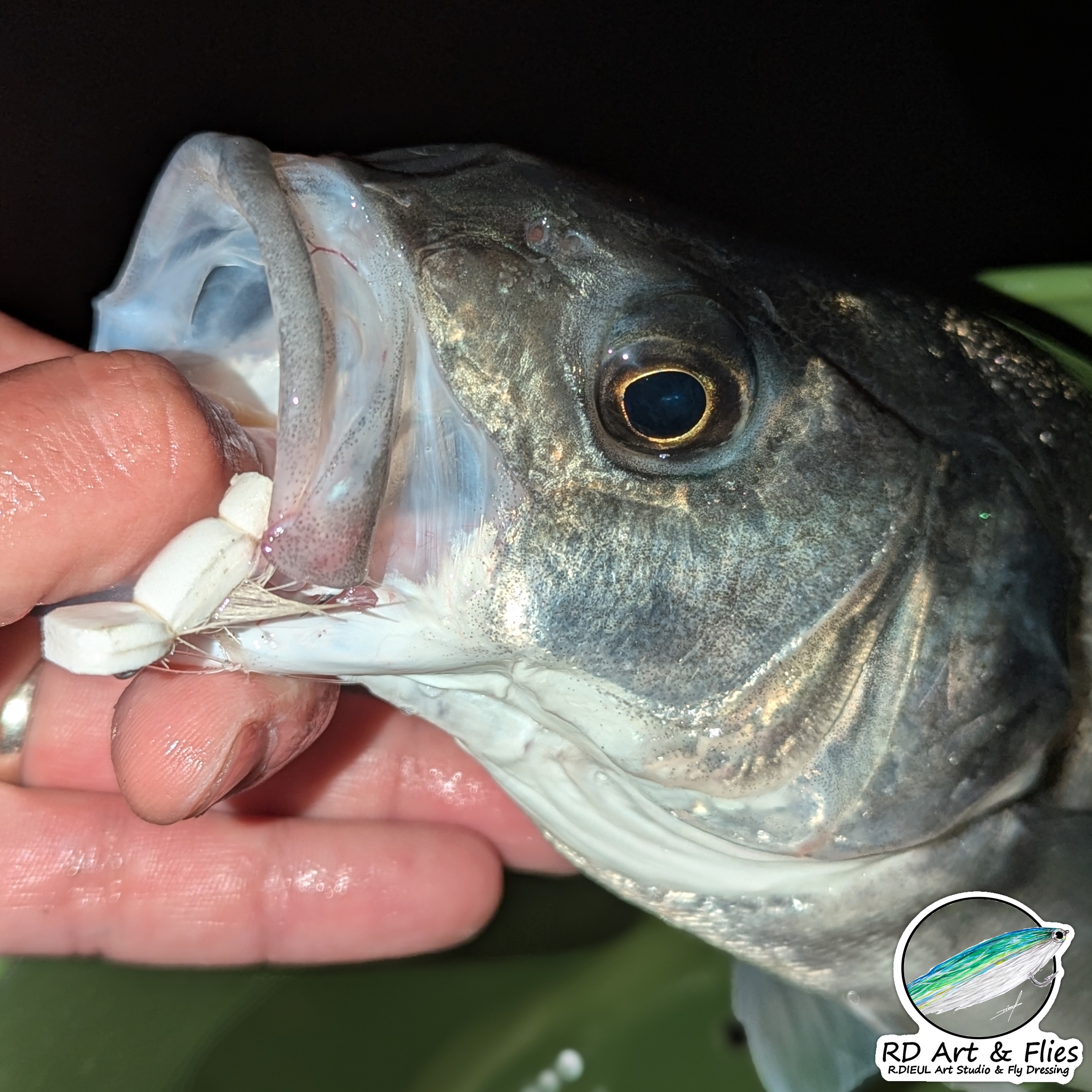 Mini Gurgler – Image 5